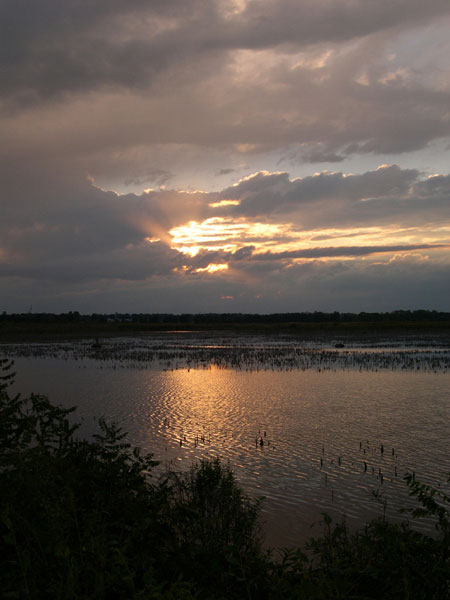 DSCN0262