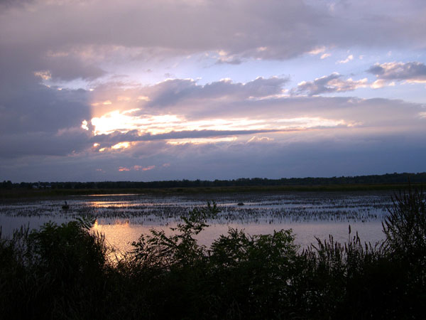 DSCN0263
