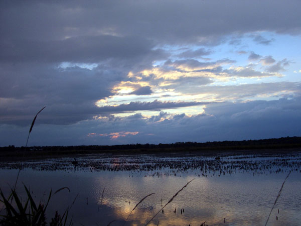 DSCN0270