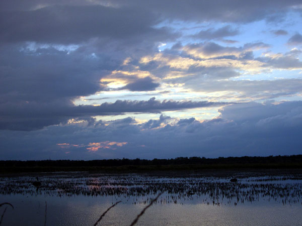 DSCN0271