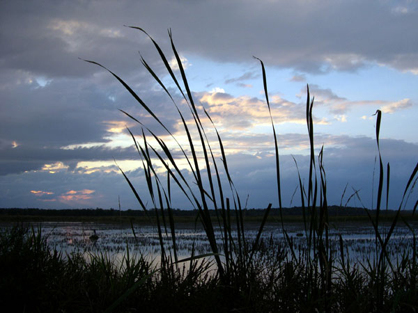 DSCN0272
