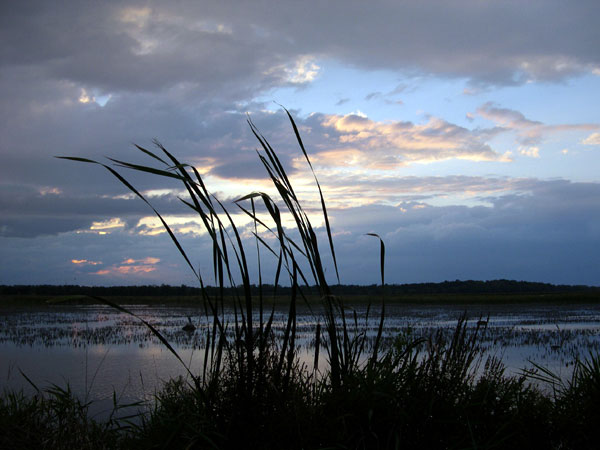 DSCN0273