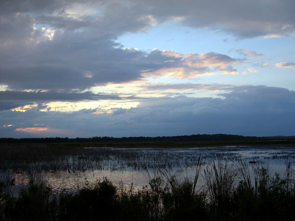 DSCN0274