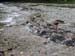 DSCN0182
