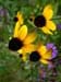 DSCN0189