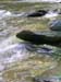 DSCN0191