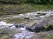 DSCN0192