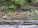DSCN0193