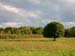 DSCN0226