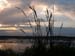DSCN0254