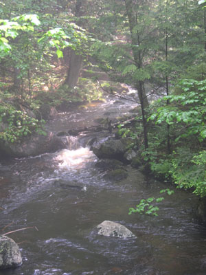 DSCN5466