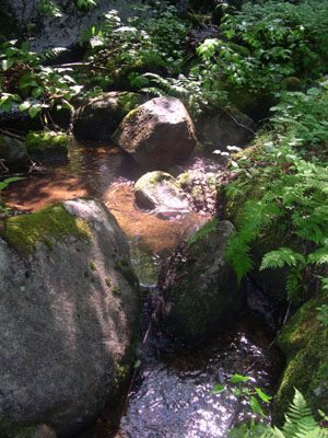 DSCN5476
