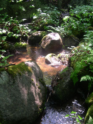 DSCN5477