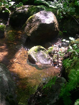 DSCN5478