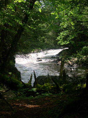 DSCN5503