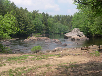 DSCN5504