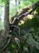 DSCN5439