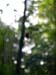 DSCN5445