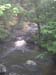 DSCN5466