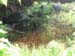 DSCN5475