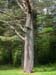 DSCN5501