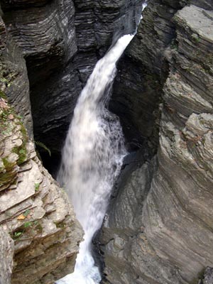 DSCN3509