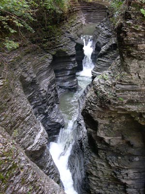 DSCN3512