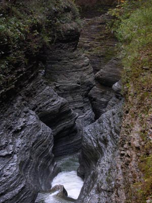 DSCN3516