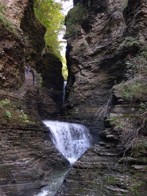 DSCN3517