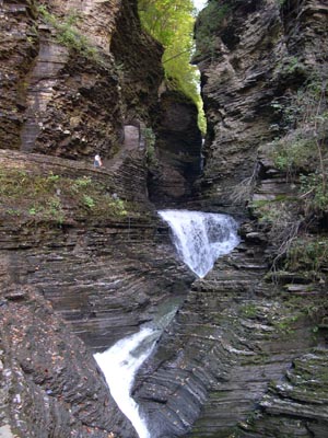 DSCN3518