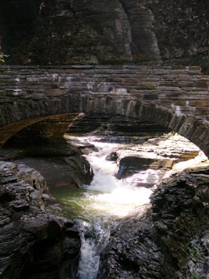 DSCN3557