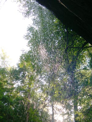 DSCN3578