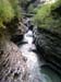 DSCN3575